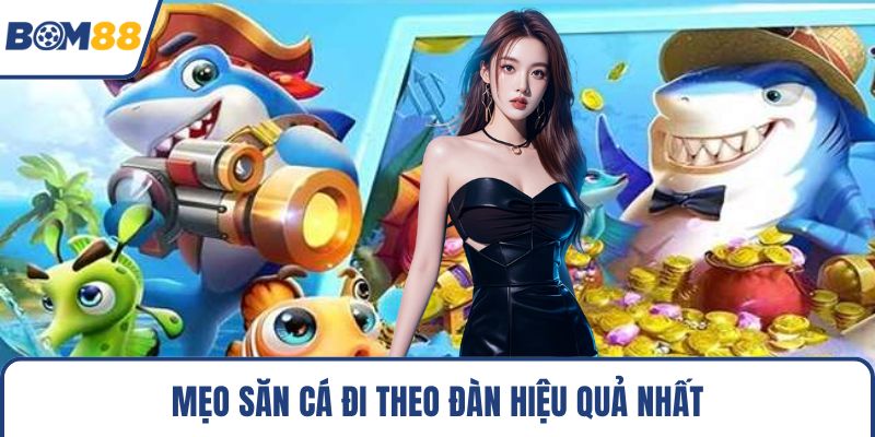 Mẹo săn cá đi theo đàn hiệu quả nhất